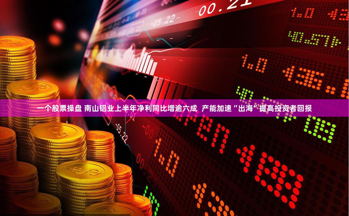 一个股票操盘 南山铝业上半年净利同比增逾六成  产能加速“出海”提高投资者回报
