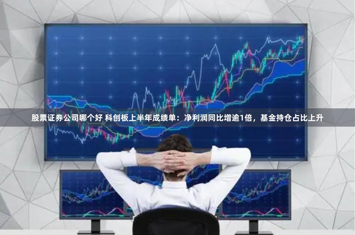 股票证券公司哪个好 科创板上半年成绩单：净利润同比增逾1倍，基金持仓占比上升