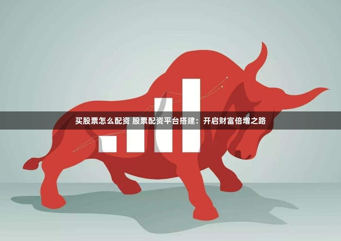 买股票怎么配资 股票配资平台搭建：开启财富倍增之路